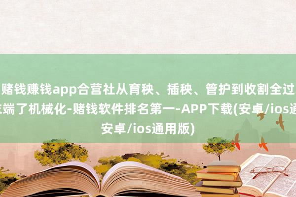 赌钱赚钱app合营社从育秧、插秧、管护到收割全过程齐末端了机械化-赌钱软件排名第一-APP下载(安卓/ios通用版)