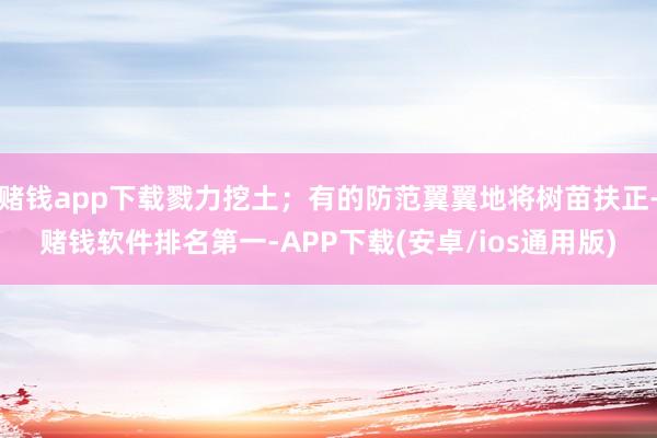 赌钱app下载戮力挖土；有的防范翼翼地将树苗扶正-赌钱软件排名第一-APP下载(安卓/ios通用版)
